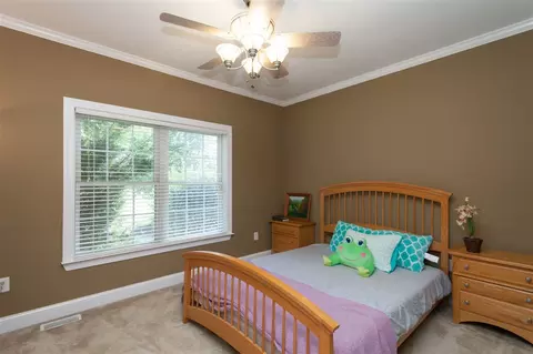 154 Deer Path Farms Rd, Erwin, NC 28339 photo 16