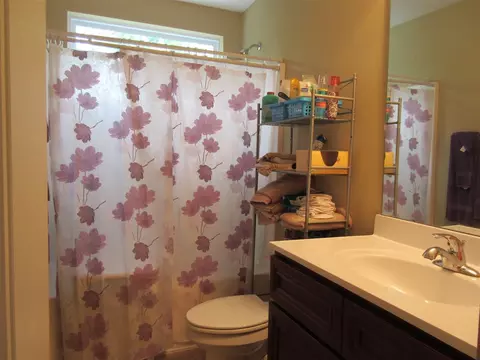 106 Dundee Pl, Stem, NC 27581 photo 17