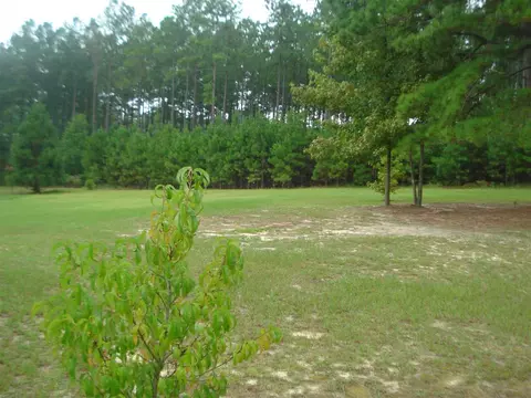 132 Tim Cir, Angier, NC 27501 photo 18