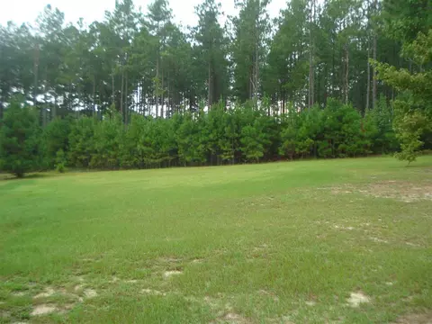 132 Tim Cir, Angier, NC 27501 photo 19