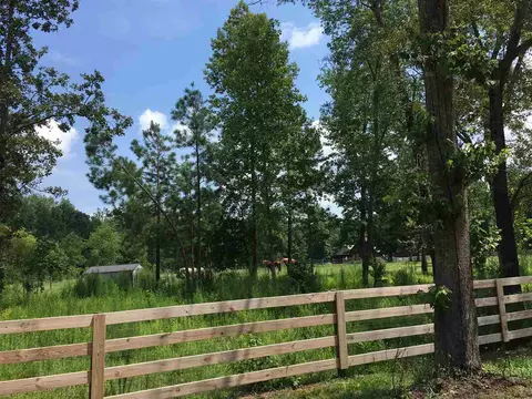 205 Koerner Ln, Erwin, NC 28339 photo 17