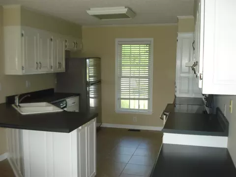 233 Wendy Pl, Benson, NC 27504 photo 4