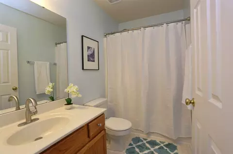 3029 White Cloud Cir, Apex, NC 27502 photo 17