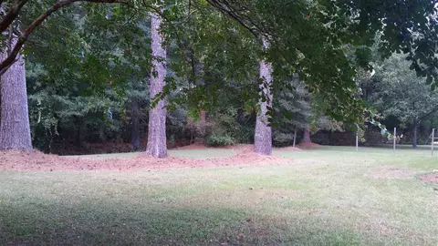 102 Dwight Dr, Micro, NC 27555 photo 8
