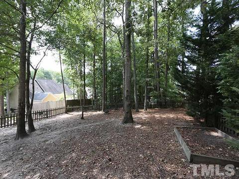 204 Gumdrop Path, Apex, NC 27502 photo 22