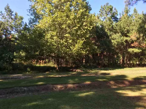 2264 Covington Rd, Bunnlevel, NC 28323 photo 20