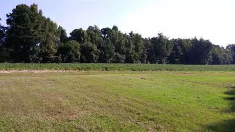 5992 Benson Hardee Rd, Benson, NC 27504 photo 3