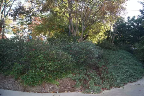 2707 Everett Ave, Raleigh, NC 27607 photo 13