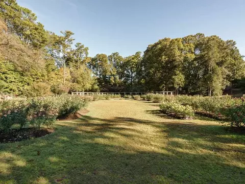 2707 Everett Ave, Raleigh, NC 27607 photo 4