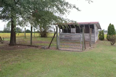 375 Blackman Rd, Dunn, NC 28334 photo 15