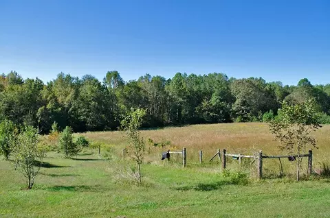 10533 Cone Rd, Middlesex, NC 27557 photo 8