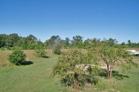10533 Cone Rd, Middlesex, NC 27557 photo 9
