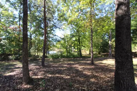3561 Saddle Ridge Rd, Stem, NC 27581 photo 25