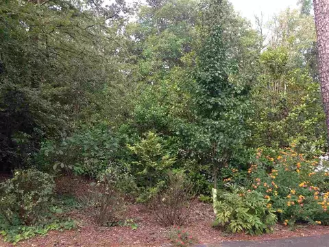 3439 Rugby Rd, Durham, NC 27707 photo 20