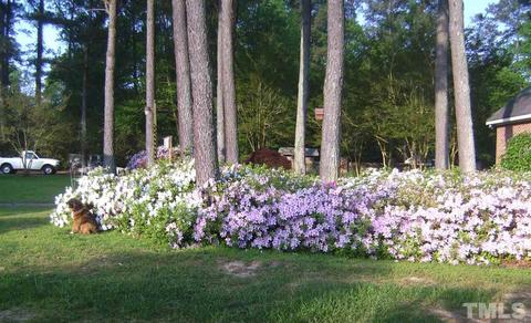 102 Shore Dr, Garner, NC 27529 photo 20