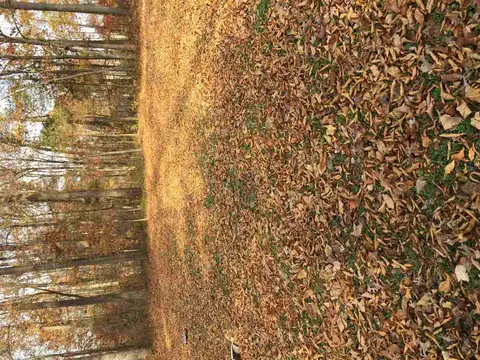 65 Spruce Ct, Timberlake, NC 27583 photo 5