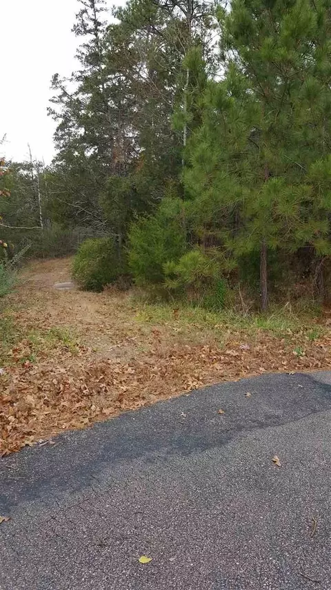 5000 Deep Cedar Dr, Wendell, NC 27591 photo 1
