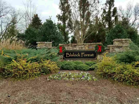 3721 Norman Blalock Rd, Willow Spring, NC 27592 photo 3