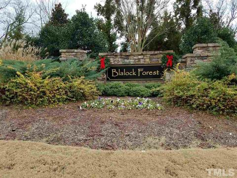 6600 Darlinghurst Ln, Willow Spring, NC 27592 photo 3