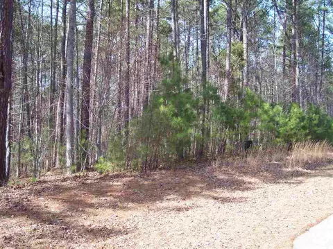 7712 Benthill Ct, Wake Forest, NC 27587 photo 6