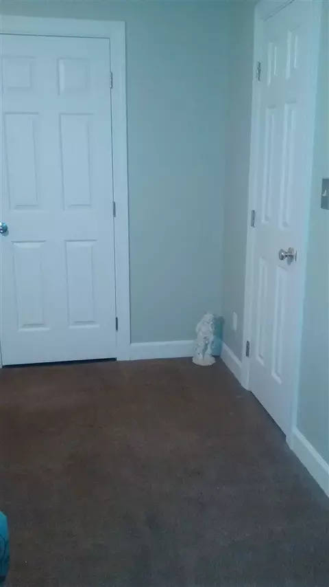 5258 Alonza Ln, Bailey, NC 27807 photo 21