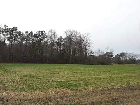 7716 Bill Love Rd, Willow Springs, NC 27592 photo 1