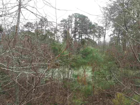7716 Bill Love Rd, Willow Springs, NC 27592 photo 4