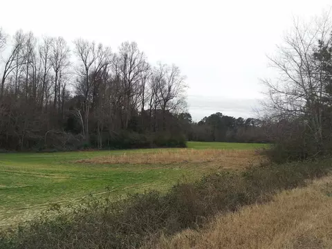 7716 Bill Love Rd, Willow Springs, NC 27592 photo 2