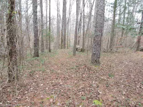 82 Casey Ct, Timberlake, NC 27583 photo 18