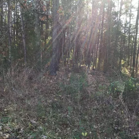 108 Lang St, Durham, NC 27703 photo 2