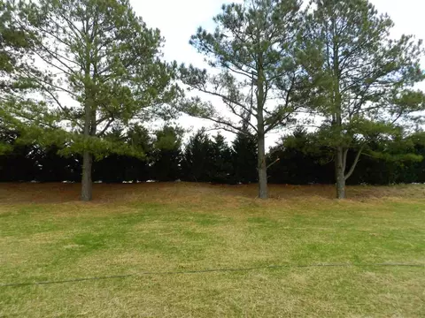 201 Windy Dr, Willow Spring, NC 27592 photo 25