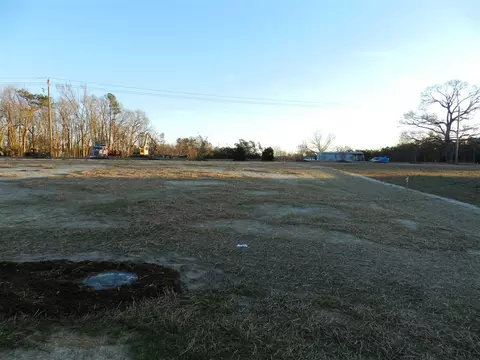 29 Pompano Ln, Benson, NC 27504 photo 3