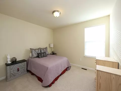 413 Cottonseed Way, Durham, NC 27703 photo 10