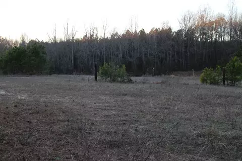 3601 Buzzard Rd, Wendell, NC 27591 photo 1
