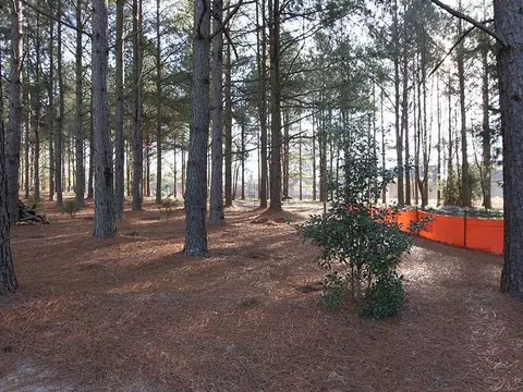 237 Plott Hound Dr, Wake Forest, NC 27587 photo 24