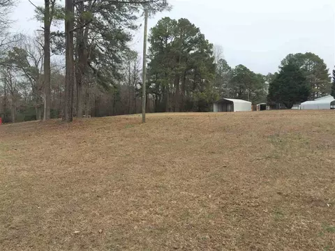 41 Brandon Ln, Coats, NC 27521 photo 3