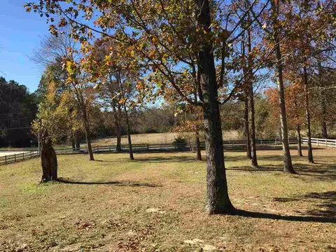 41 Brandon Ln, Coats, NC 27521 photo 4