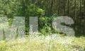 1684 Beard Rd, Wade, NC 28395 photo 1