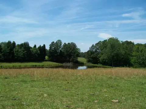 1475 Williamson Rd, Buffalo Junction, VA 24529 photo 17
