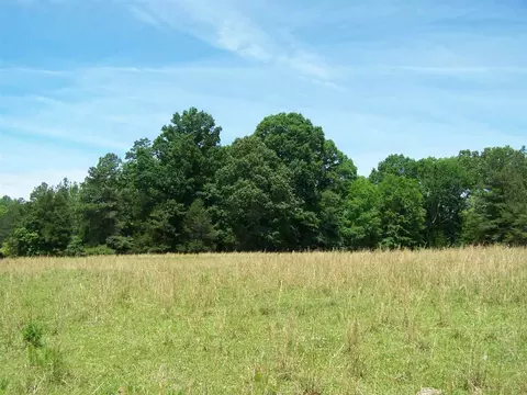 1475 Williamson Rd, Buffalo Junction, VA 24529 photo 19