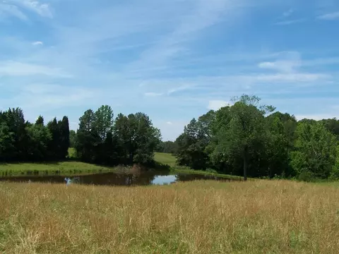 1475 Williamson Rd, Buffalo Junction, VA 24529 photo 18