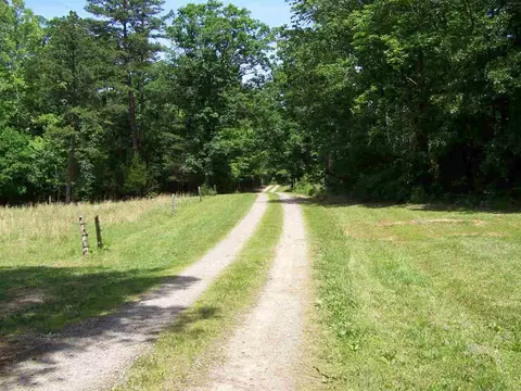 1475 Williamson Rd, Buffalo Junction, VA 24529 photo 15