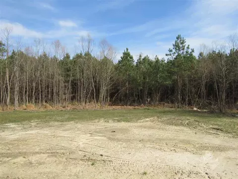 195 Torchie Dr, Clayton, NC 27520 photo 10