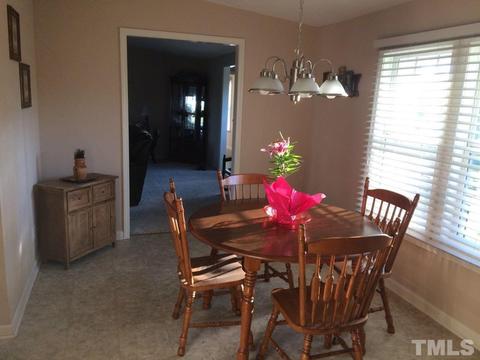 3170 E Thollie Green Rd, Stem, NC 27581 photo 11