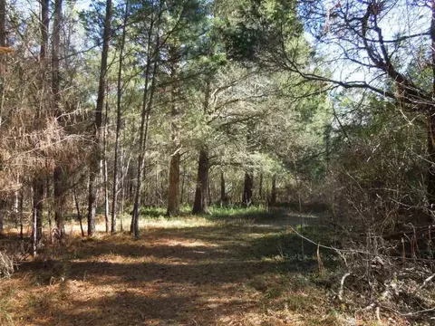 95 Gargus Rd, Moncure, NC 27559 photo 10