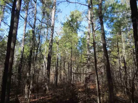 95 Gargus Rd, Moncure, NC 27559 photo 4