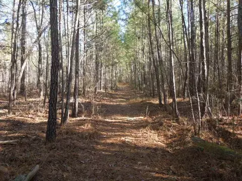 95 Gargus Rd, Moncure, NC 27559 photo 2