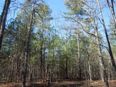 95 Gargus Rd, Moncure, NC 27559 photo 5