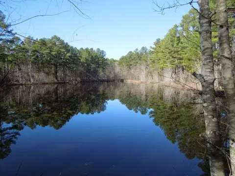95 Gargus Rd, Moncure, NC 27559 photo 3