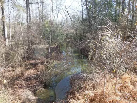 95 Gargus Rd, Moncure, NC 27559 photo 9